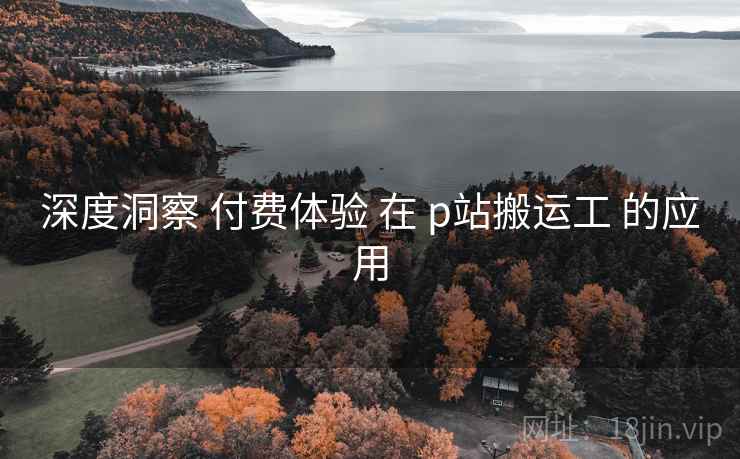 深度洞察 付费体验 在 p站搬运工 的应用
