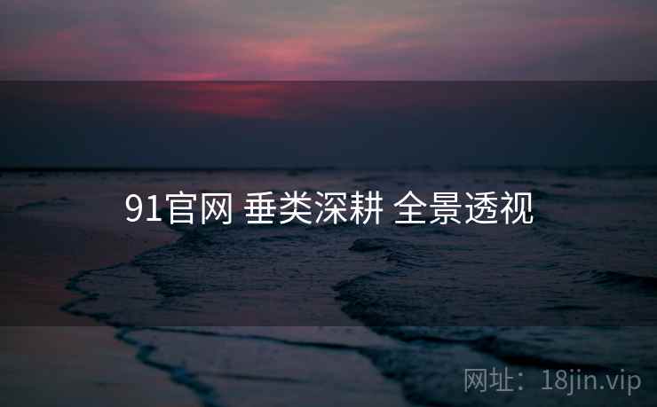 91官网 垂类深耕 全景透视
