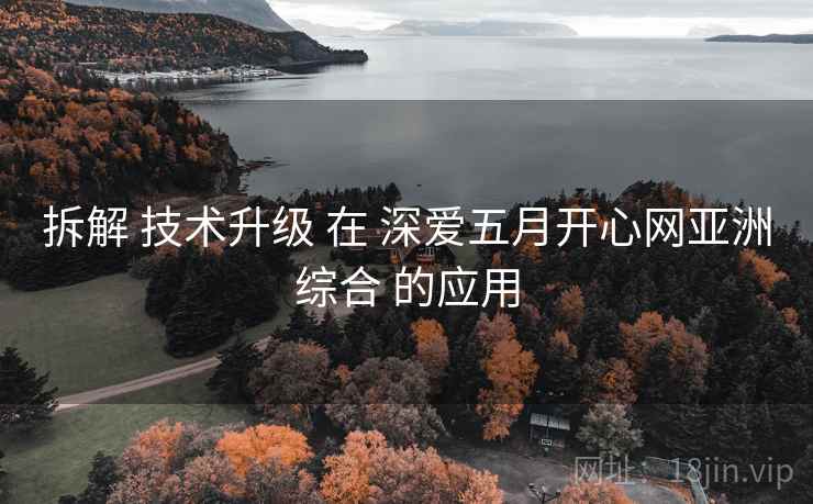 拆解 技术升级 在 深爱五月开心网亚洲综合 的应用
