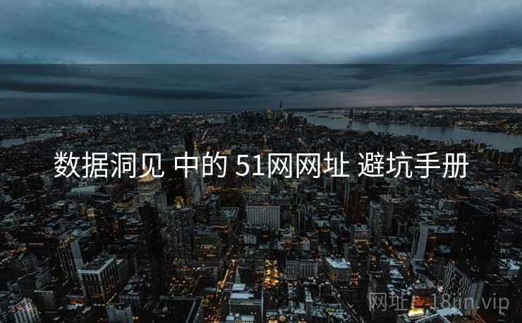 数据洞见 中的 51网网址 避坑手册
